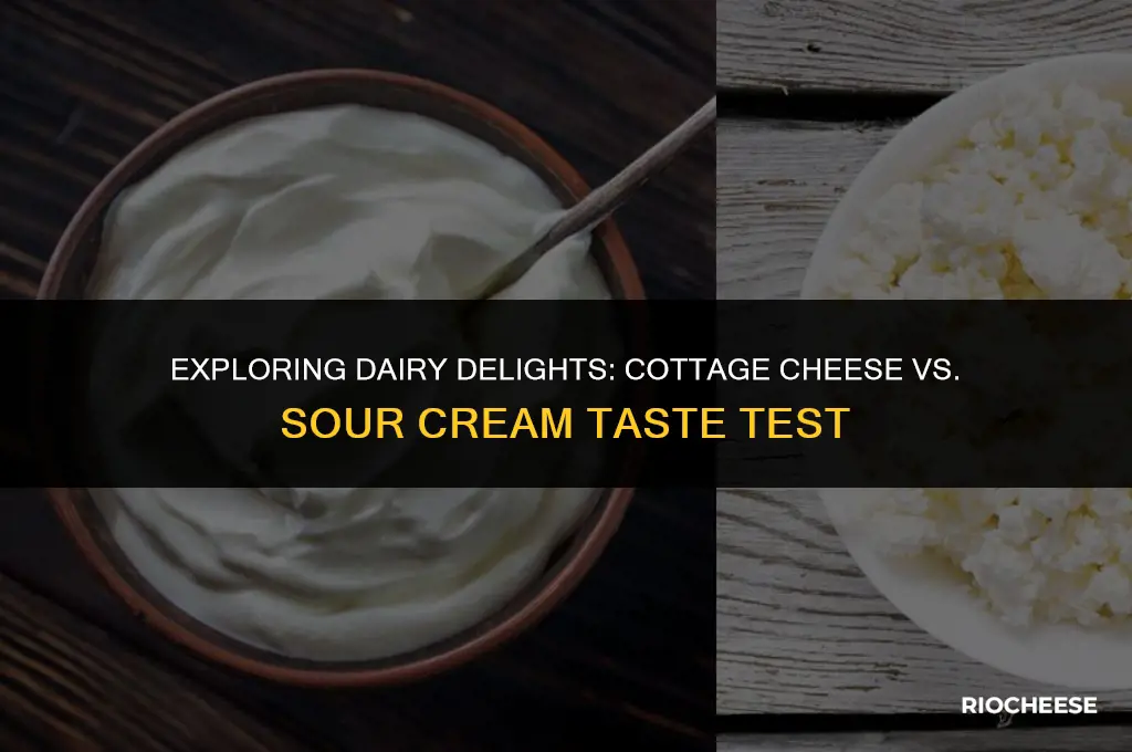 does cottage cheese taste like sour cream