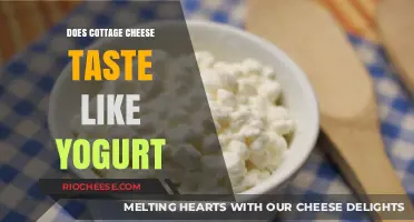 Unraveling the Flavor Mystery: Cottage Cheese vs. Yogurt Taste Test