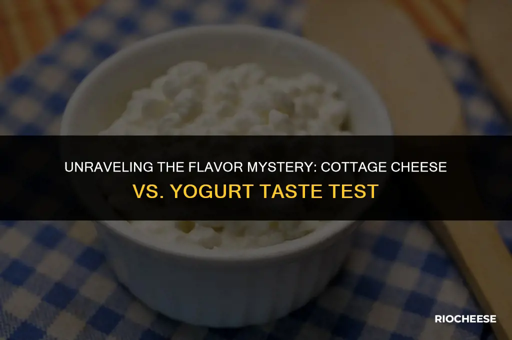 does cottage cheese taste like yogurt