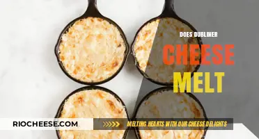 The Melting Mystery: Dubliner Cheese's Unique Properties Explained