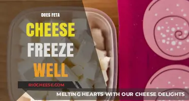 Feta Cheese Freezing Guide: Tips for Perfect Texture and Flavor