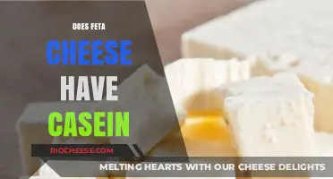 Exploring Dairy: The Casein Content in Feta Cheese