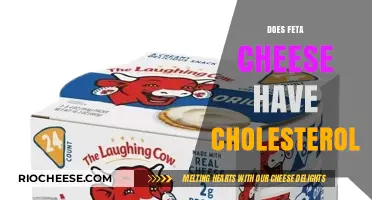 The Cholesterol Conundrum: Unraveling the Truth About Feta Cheese