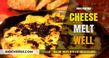 The Melting Marvel: Fontina Cheese's Perfect Melt