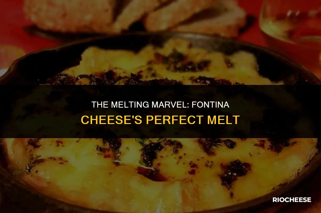 does fontina cheese melt well