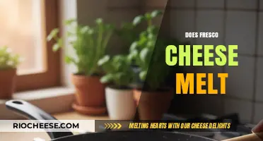 The Melting Mystery: Unveiling the Truth About Fresco Cheese