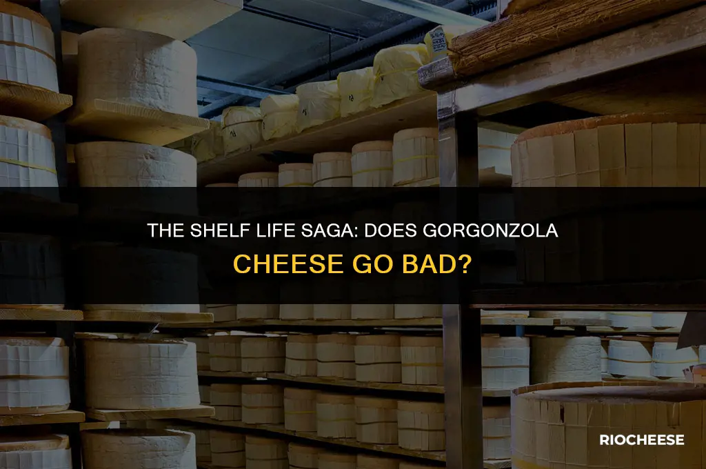 does gorgonzola cheese go bad