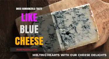 Exploring the Flavor Profile: Gorgonzola vs. Blue Cheese