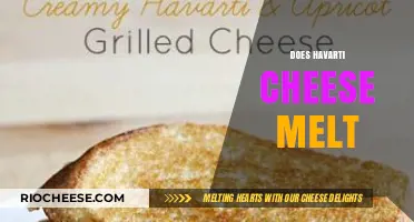The Melting Magic of Havarti: A Cheese Lover's Guide