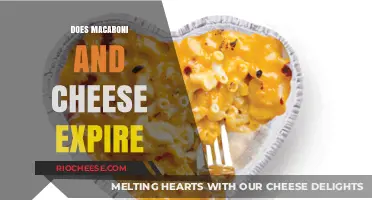 The Shelf Life Saga: Does Macaroni and Cheese Expire?