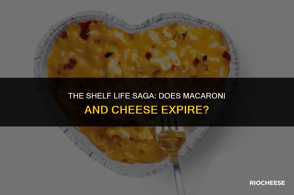 does macaroni and cheese expire