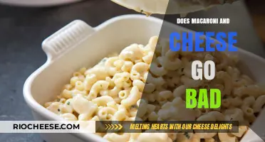 The Shelf Life Saga: Does Macaroni and Cheese Go Bad?