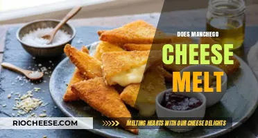 The Melting Mystery: Unraveling the Secrets of Manchego Cheese