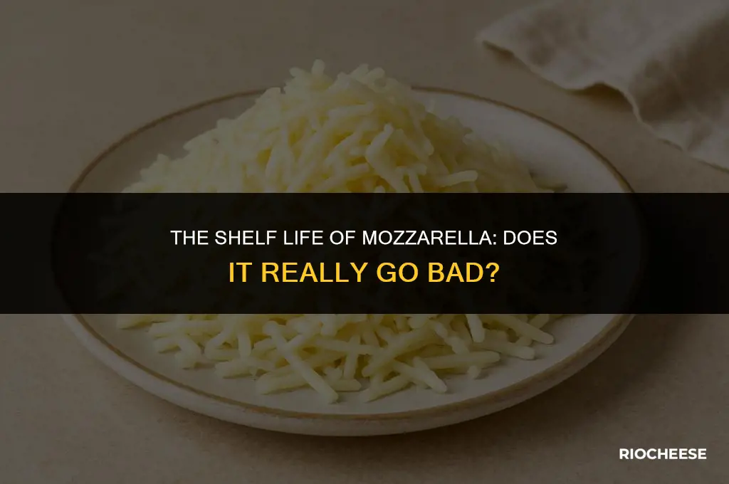 does mozzarella cheese go bad