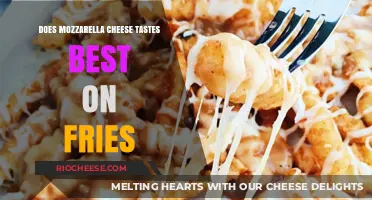 The Ultimate Comfort Food Debate: Mozzarella Cheese on Fries?