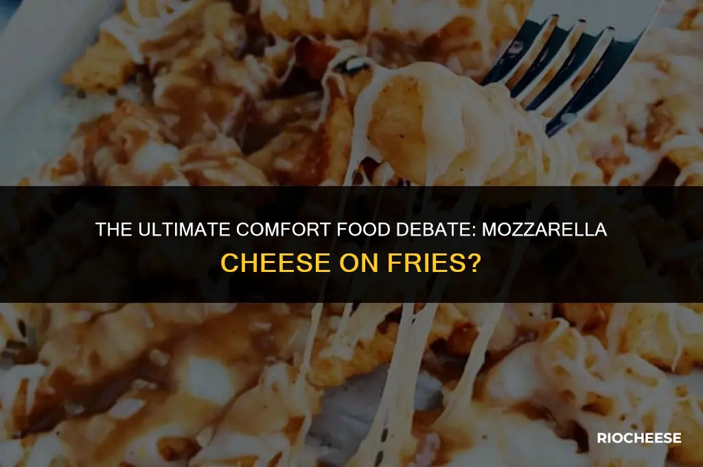does mozzarella cheese tastes best on fries