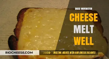 The Melting Marvel: Exploring Muenster Cheese's Gooey Potential