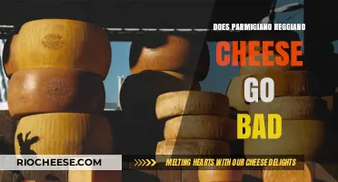 The Shelf Life of Parmigiano Reggiano: Does It Go Bad?