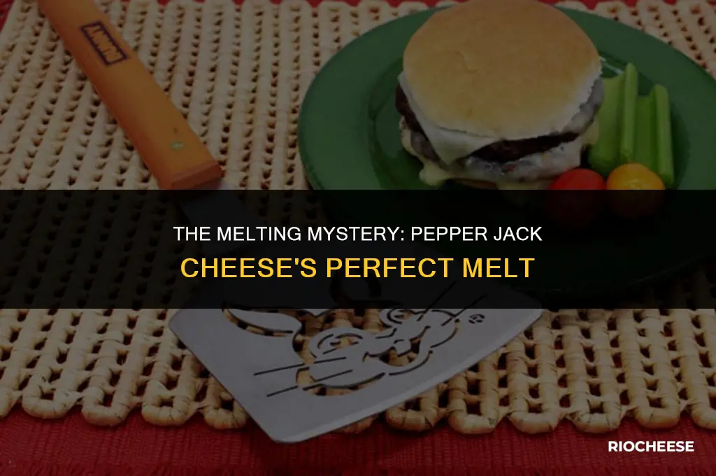 does pepper jack cheese melt