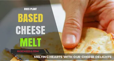 The Melting Point: Exploring the Wonders of Plant-Based Cheese