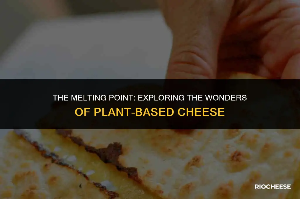 does plant based cheese melt