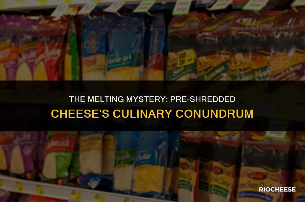 does pre shredded cheese melt