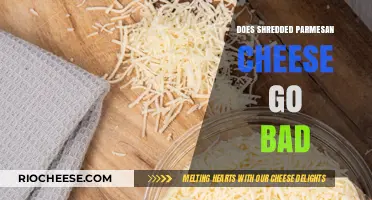 The Shelf Life of Shredded Parmesan: Does It Go Bad?