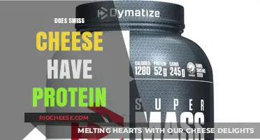 Protein Power: Unveiling the Nutritional Benefits of Swiss Cheese