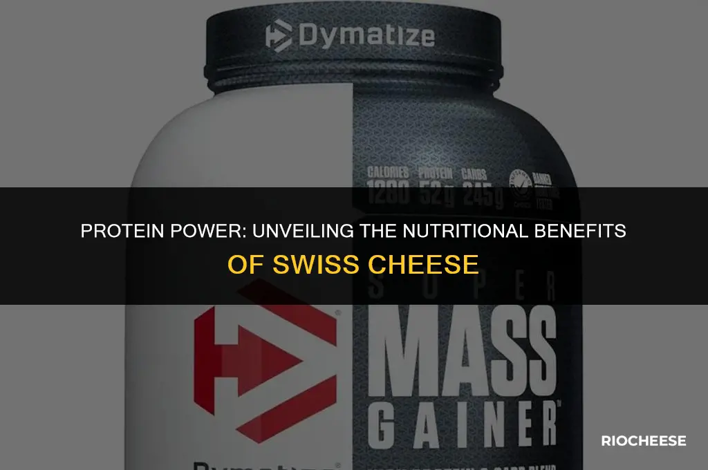 does swiss cheese have protein