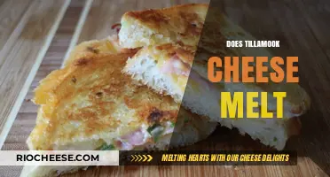 The Melting Mystery: Unraveling Tillamook Cheese's Melting Secrets