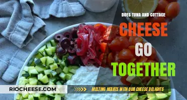 Tuna and Cottage Cheese: A Surprisingly Delicious Duo