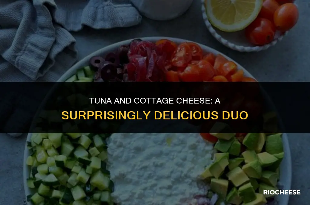 does tuna and cottage cheese go together