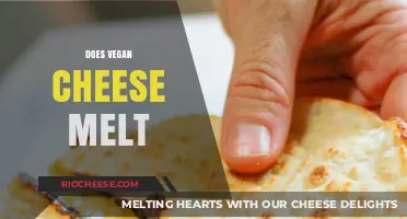 The Melting Mystery: Unveiling the Truth About Vegan Cheese
