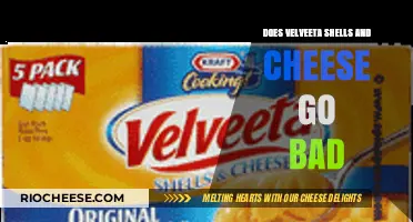 Decoding Velveeta Shells and Cheese: Shelf Life Secrets Revealed