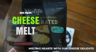 The Melting Mystery: Does Violife Cheese Measure Up?