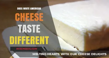 Exploring Flavor Nuances: Does White American Cheese Taste Different?