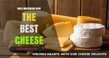 Wisconsin's Cheese: A Taste of Excellence or Just Hype?