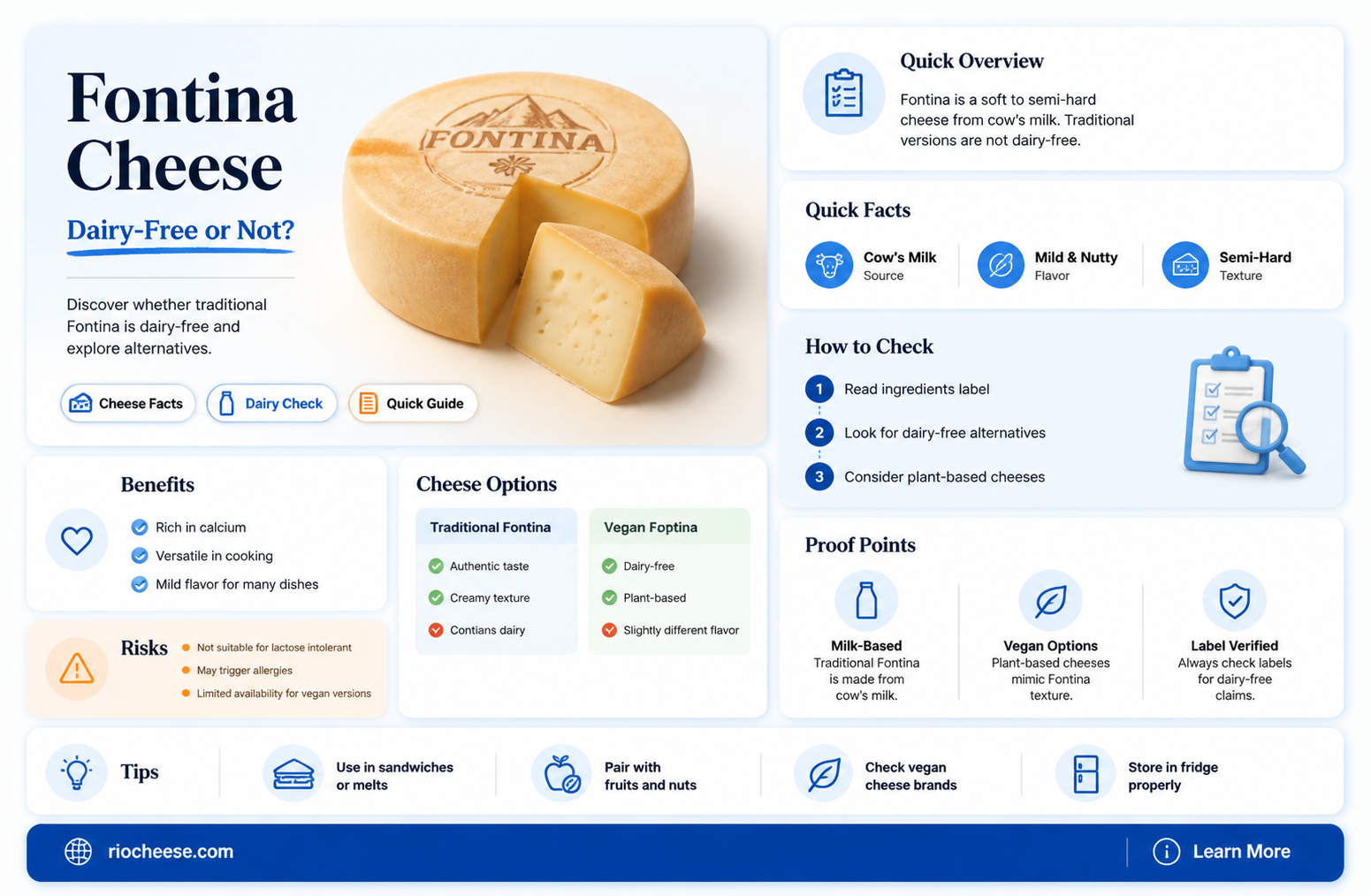 is fontina cheese dairy free