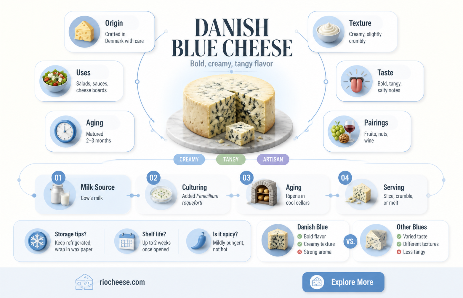 what does danish blue cheese taste like
