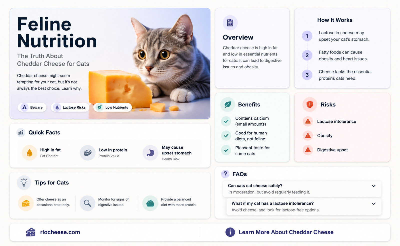 is cheddar cheese ok for cats