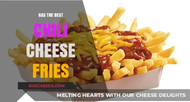 Savoring the Ultimate Comfort Food: Chili Cheese Fries Showdown