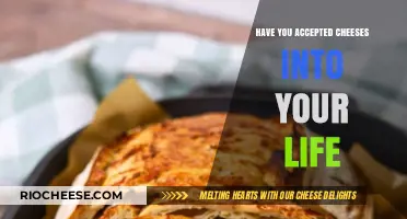 Embracing the Cheesy Goodness: A Journey of Dairy Delight