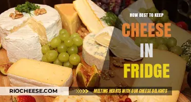 Optimal Cheese Storage: A Guide to Freshness in Your Fridge