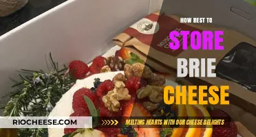 The Art of Preserving Perfection: Optimal Brie Cheese Storage Tips