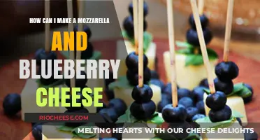Crafting the Perfect Mozzarella and Blueberry Cheese Blend