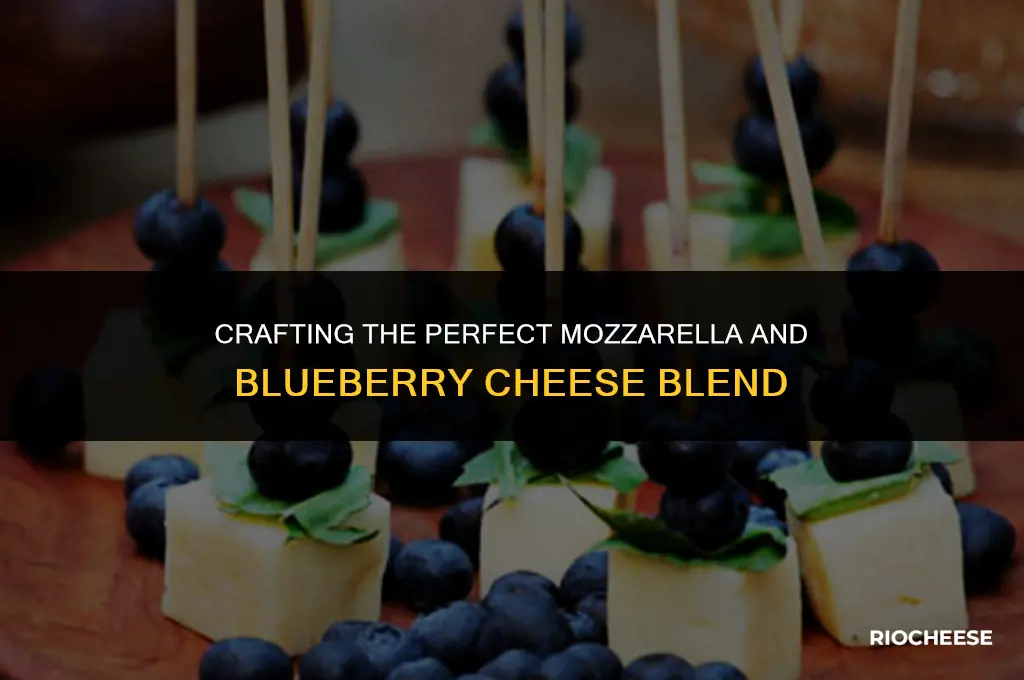 how can i make a mozzarella and blueberry cheese