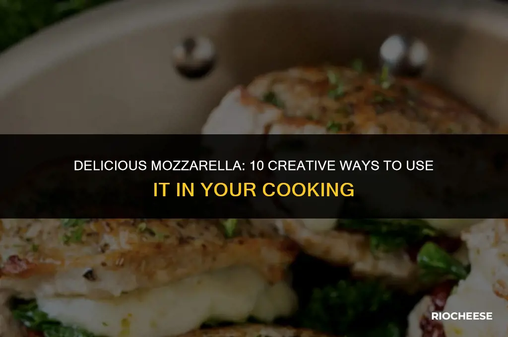 how can i use mozzarella cheese