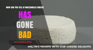 Signs Your Mozzarella Cheese Has Spoiled: A Comprehensive Guide