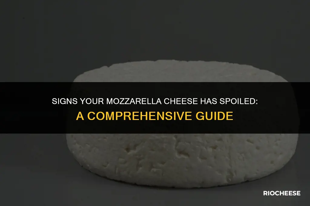 how can you tell if mozzarella cheese has gone bad