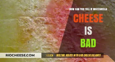 Signs Your Mozzarella Cheese Has Gone Bad: A Guide